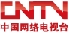 网络电视cntv